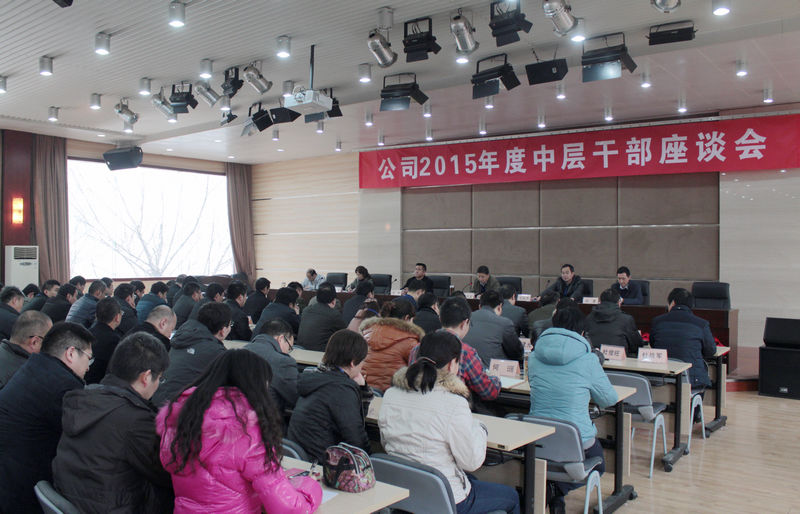 公司召开2015年度中层干部座谈会