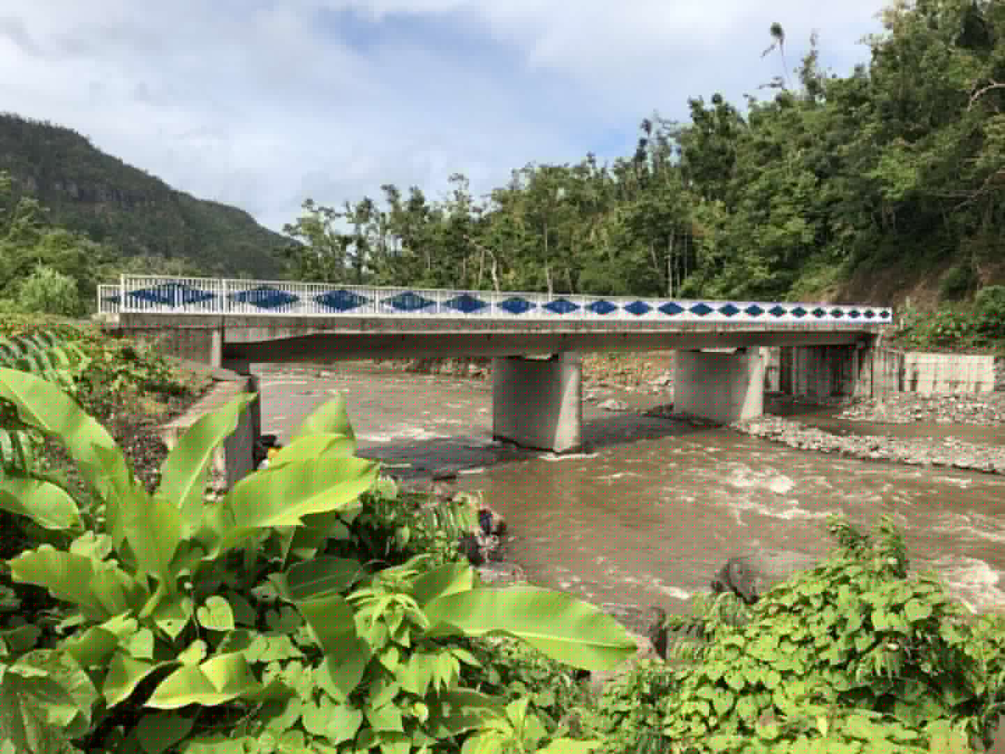 援多米尼克约克峡谷桥项目顺利通过竣工验收