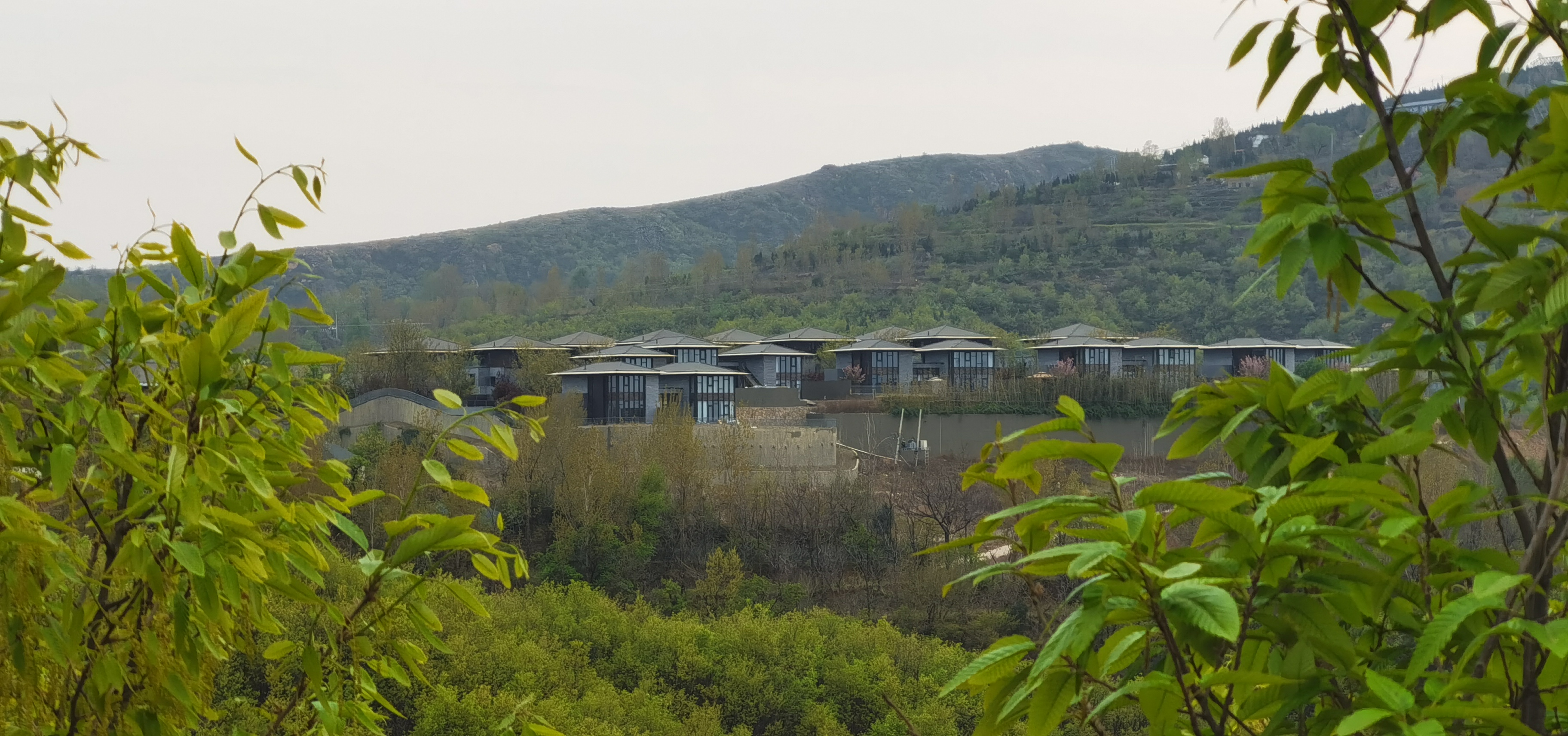 建筑规划设计院调研浅山美学馆